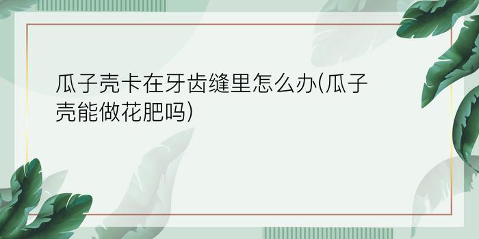 瓜子壳卡在牙齿缝里怎么办(瓜子壳能做花肥吗)