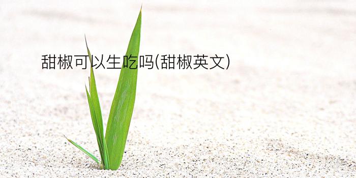 甜椒可以生吃吗(甜椒英文)