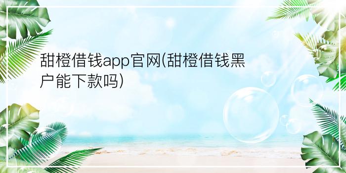 甜橙借钱app官网(甜橙借钱黑户能下款吗)