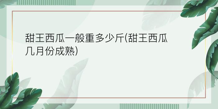 甜王西瓜一般重多少斤(甜王西瓜几月份成熟)