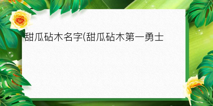 甜瓜砧木名字(甜瓜砧木第一勇士)