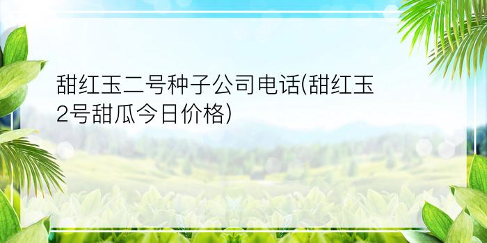 甜红玉二号种子公司电话(甜红玉2号甜瓜今日价格)