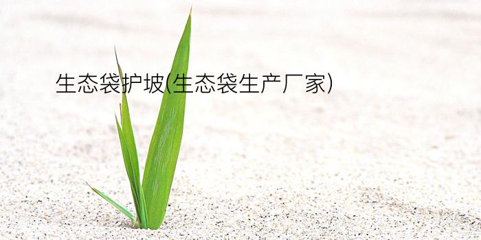 生态袋护坡(生态袋生产厂家)