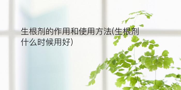 生根剂的作用和使用方法(生根剂什么时候用好)