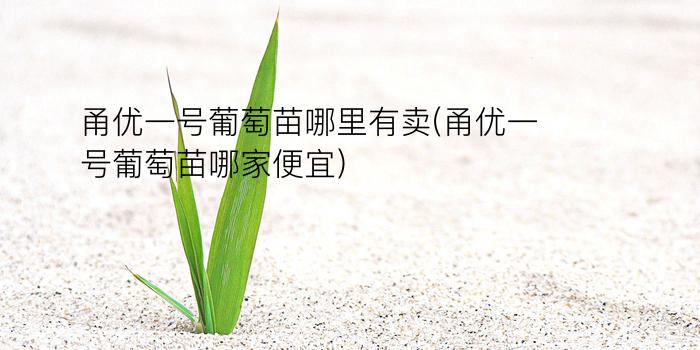 甬优一号葡萄苗哪里有卖(甬优一号葡萄苗哪家便宜)