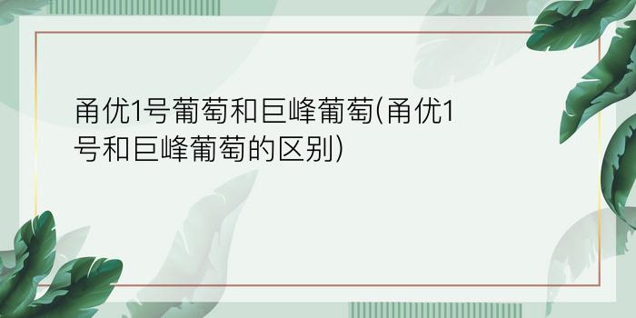 甬优1号葡萄和巨峰葡萄(甬优1号和巨峰葡萄的区别)