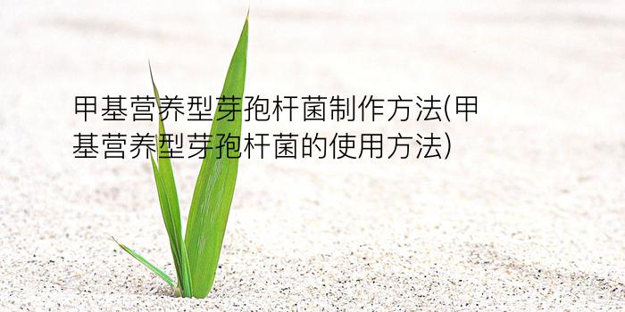 甲基营养型芽孢杆菌制作方法(甲基营养型芽孢杆菌的使用方法)