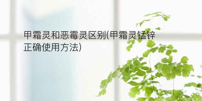 甲霜灵和恶霉灵区别(甲霜灵锰锌正确使用方法)