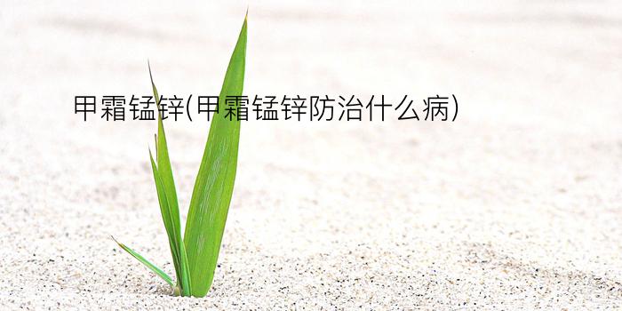 甲霜锰锌(甲霜锰锌防治什么病)