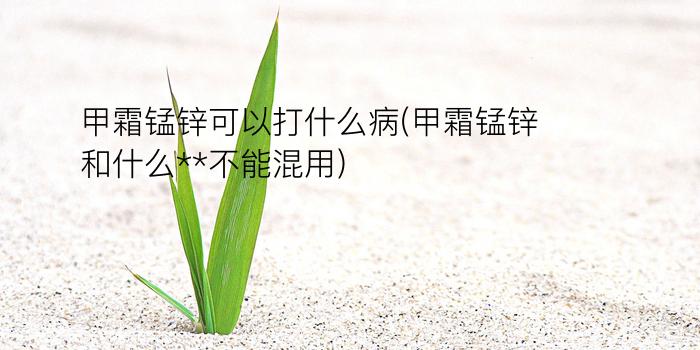 甲霜锰锌可以打什么病(甲霜锰锌和什么**不能混用)