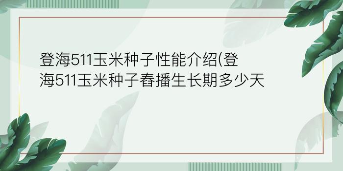 登海511玉米种子性能介绍(登海511玉米种子舂播生长期多少天?)