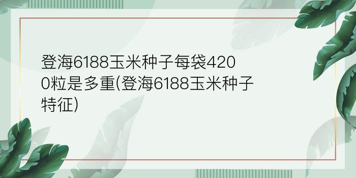 登海6188玉米种子每袋4200粒是多重(登海6188玉米种子特征)