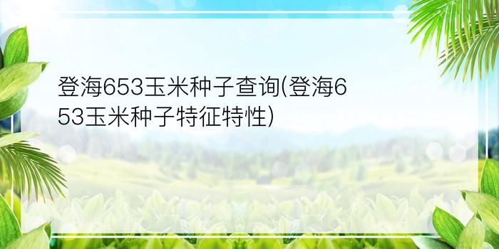 登海653玉米种子查询(登海653玉米种子特征特性)