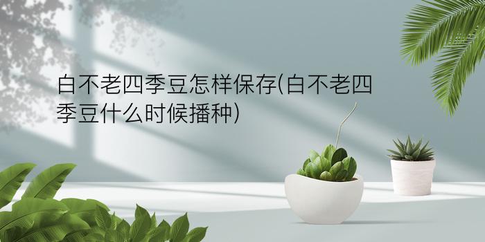 白不老四季豆怎样保存(白不老四季豆什么时候播种)