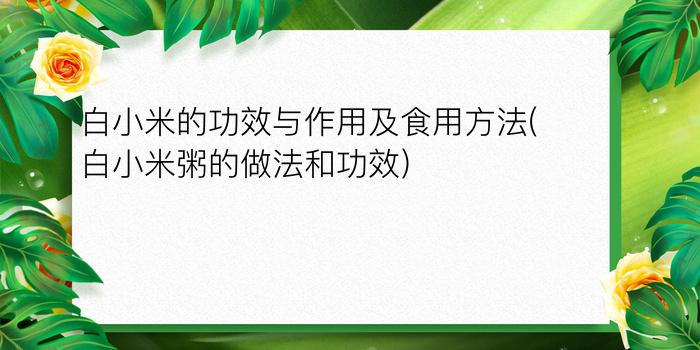 白小米的功效与作用及食用方法(白小米粥的做法和功效)