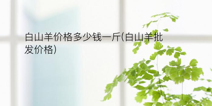 白山羊价格多少钱一斤(白山羊批发价格)