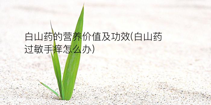 白山药的营养价值及功效(白山药过敏手痒怎么办)