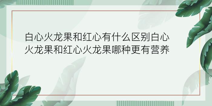 白心火龙果和红心有什么区别白心火龙果和红心火龙果哪种更有营养