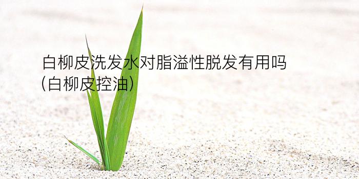 白柳皮洗发水对脂溢性脱发有用吗(白柳皮控油)