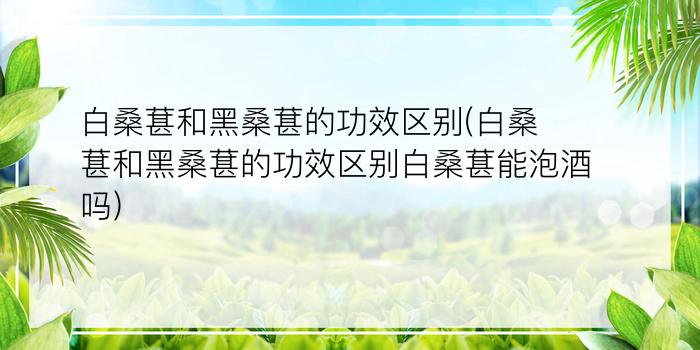 白桑葚和黑桑葚的功效区别(白桑葚和黑桑葚的功效区别白桑葚能泡酒吗)