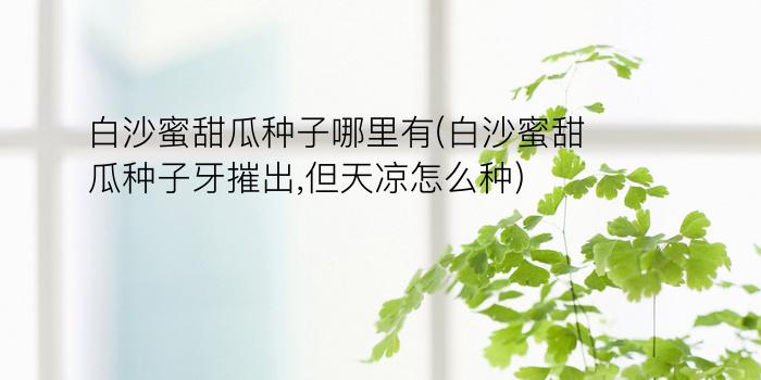 白沙蜜甜瓜种子哪里有(白沙蜜甜瓜种子牙摧出,但天凉怎么种)