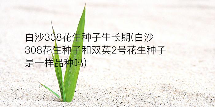 白沙308花生种子生长期(白沙308花生种子和双英2号花生种子是一样品种吗?)