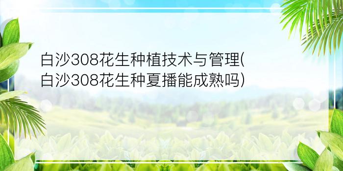 白沙308花生种植技术与管理(白沙308花生种夏播能成熟吗)