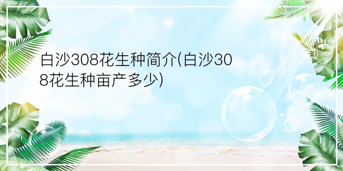 白沙308花生种简介(白沙308花生种亩产多少)