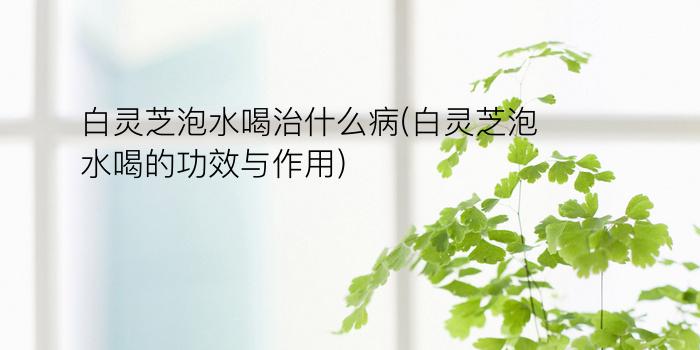 白灵芝泡水喝治什么病(白灵芝泡水喝的功效与作用)