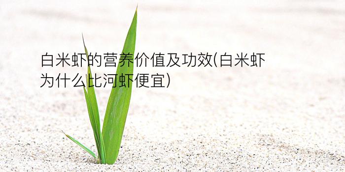 白米虾的营养价值及功效(白米虾为什么比河虾便宜)