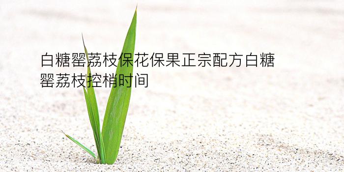 白糖罂荔枝保花保果正宗配方白糖罂荔枝控梢时间