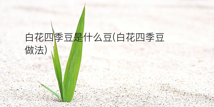 白花四季豆是什么豆(白花四季豆做法)