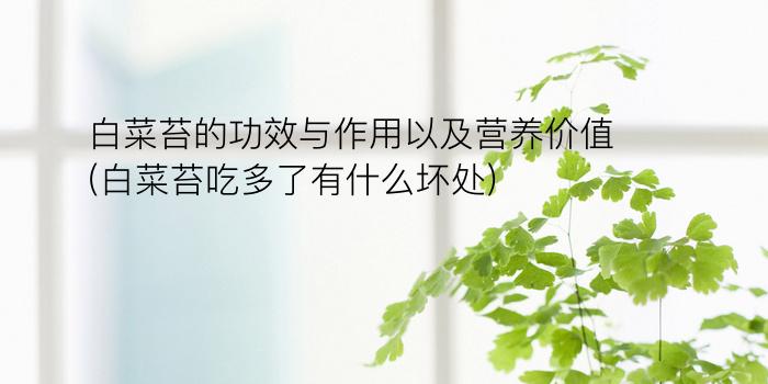 白菜苔的功效与作用以及营养价值(白菜苔吃多了有什么坏处)