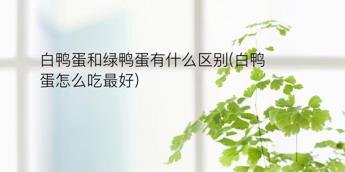 白鸭蛋和绿鸭蛋有什么区别(白鸭蛋怎么吃最好)