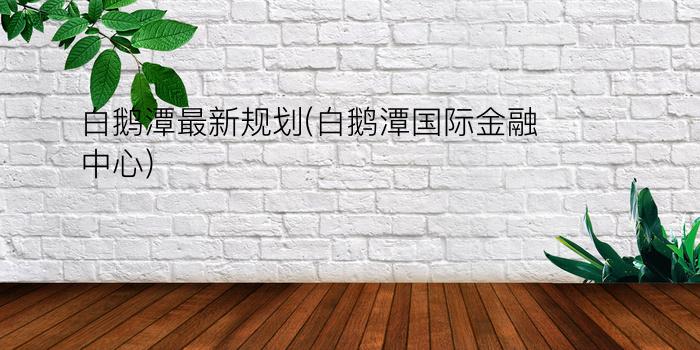 白鹅潭最新规划(白鹅潭国际金融中心)