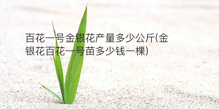 百花一号金银花产量多少公斤(金银花百花一号苗多少钱一棵)