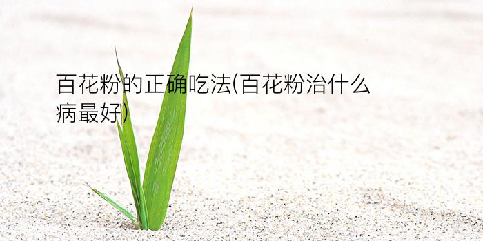 百花粉的正确吃法(百花粉治什么病最好)