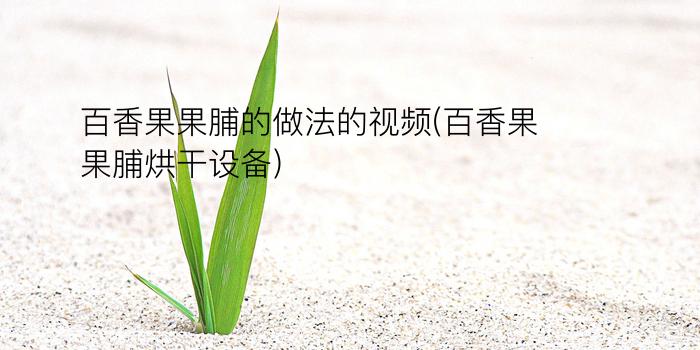 百香果果脯的做法的视频(百香果果脯烘干设备)