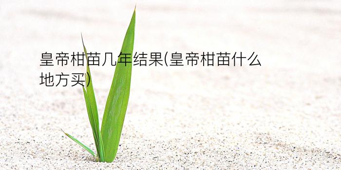 皇帝柑苗几年结果(皇帝柑苗什么地方买)