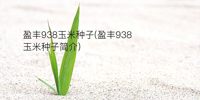 盈丰938玉米种子(盈丰938玉米种子简介)