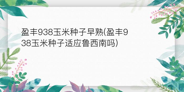 盈丰938玉米种子早熟(盈丰938玉米种子适应鲁西南吗?)