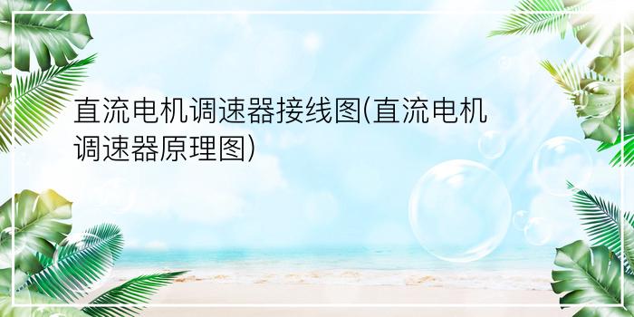 直流电机调速器接线图(直流电机调速器原理图)