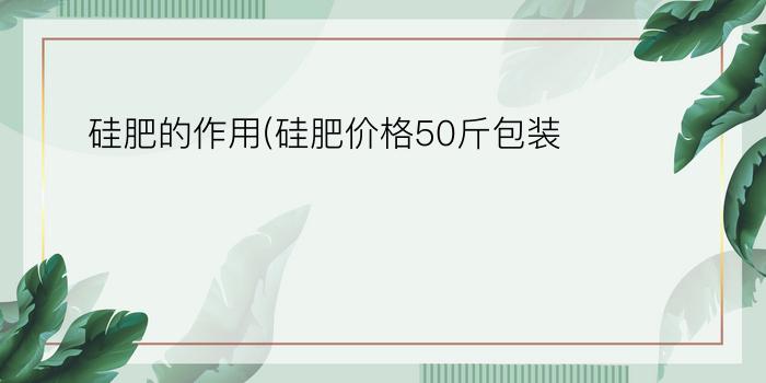 硅肥的作用(硅肥价格50斤包装)