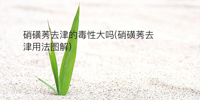 硝磺莠去津的毒性大吗(硝磺莠去津用法图解)