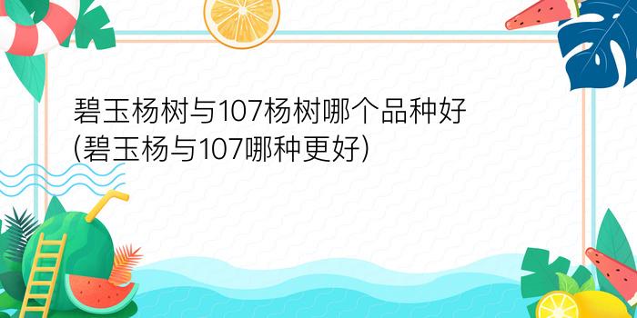 碧玉杨树与107杨树哪个品种好(碧玉杨与107哪种更好)