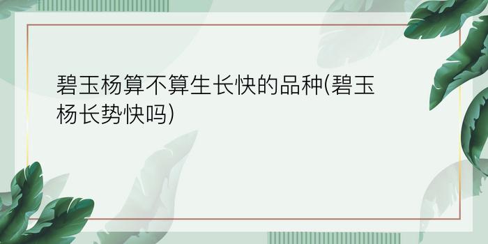 碧玉杨算不算生长快的品种(碧玉杨长势快吗)