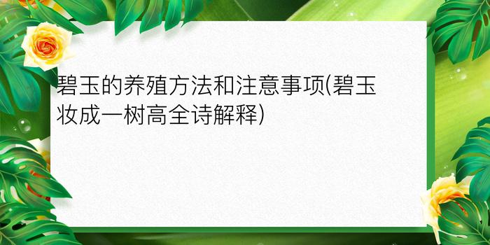 碧玉的养殖方法和注意事项(碧玉妆成一树高全诗解释)