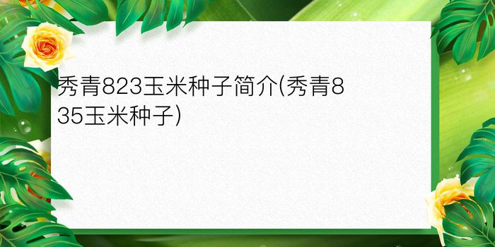 秀青823玉米种子简介(秀青835玉米种子)