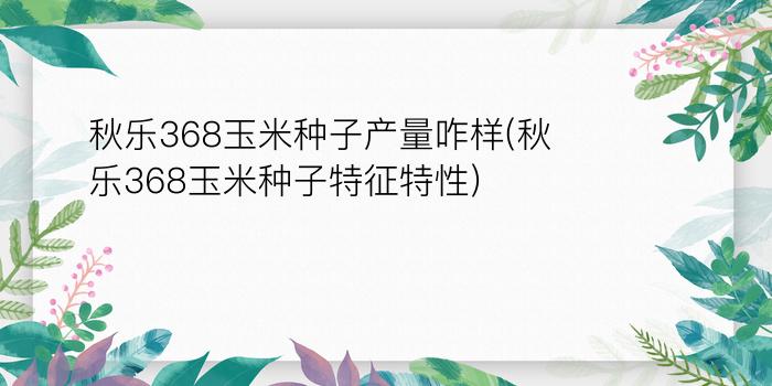 秋乐368玉米种子产量咋样(秋乐368玉米种子特征特性)