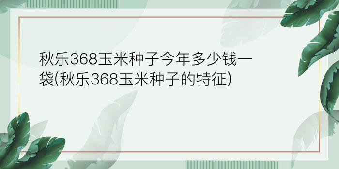 秋乐368玉米种子今年多少钱一袋(秋乐368玉米种子的特征)